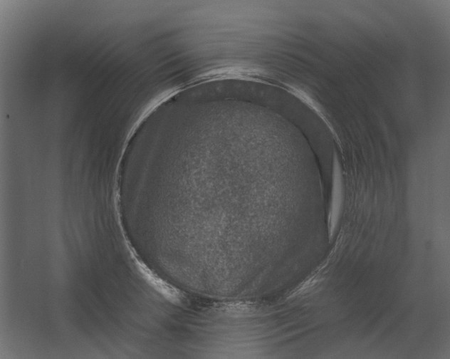 X0000067501042200604211720