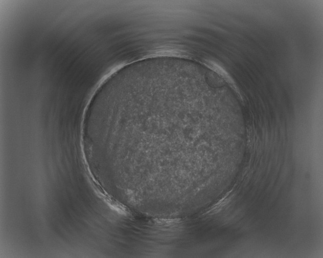 X0000067501043200604211720