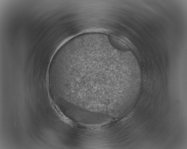 X0000067501044200604211720