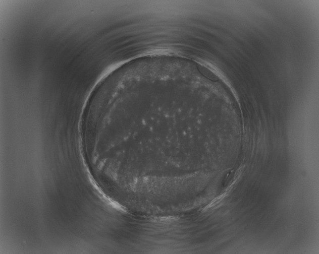 X0000067501045200604211720