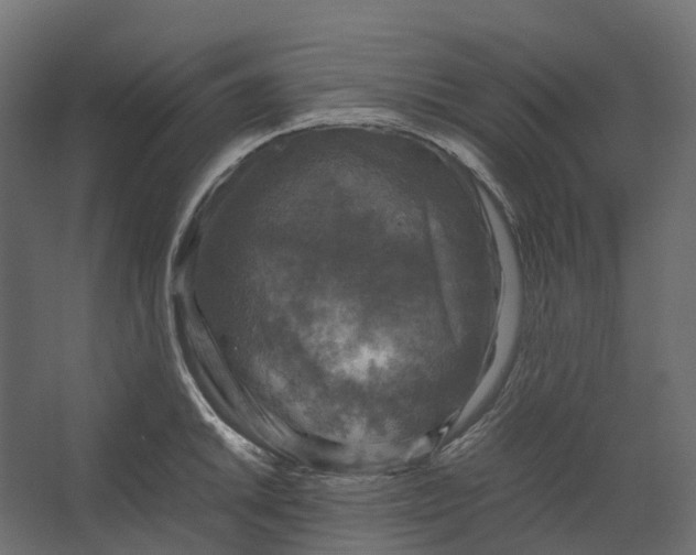 X0000067501046200604211720