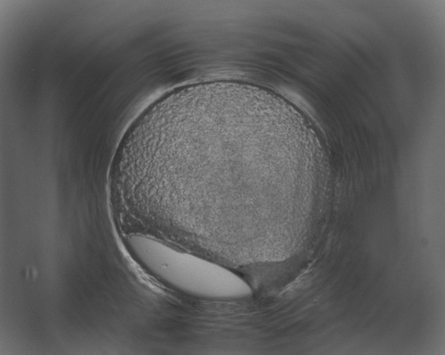 X0000067501047200604211720