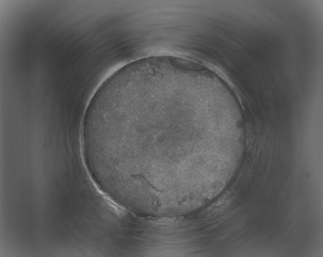 X0000067501048200604211720