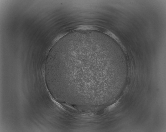 X0000067501049200604211720