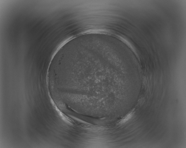 X0000067501050200604211720