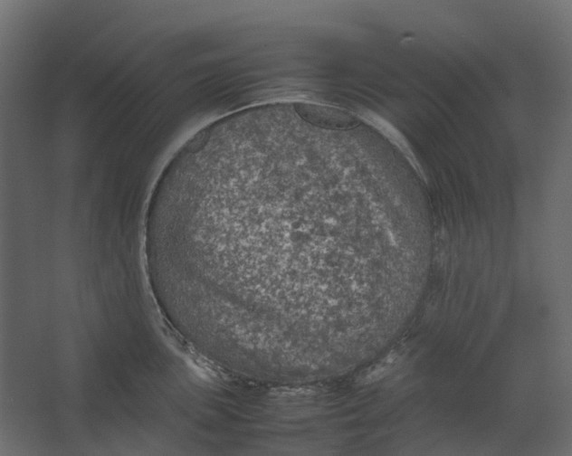 X0000067501051200604211720