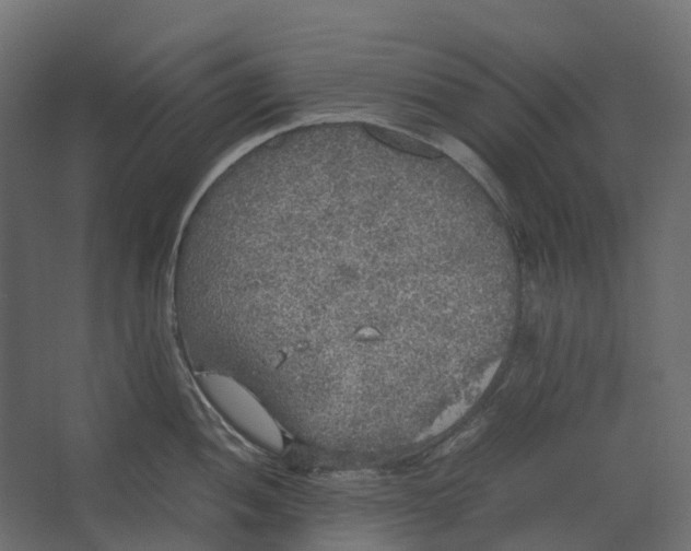 X0000067501052200604211720