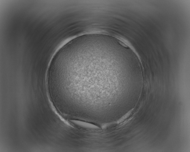 X0000067501053200604211720