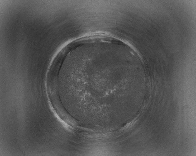 X0000067501054200604211720