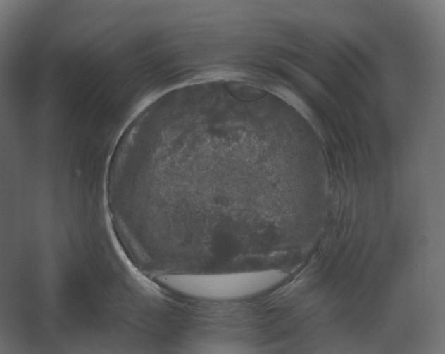 X0000067501055200604211720