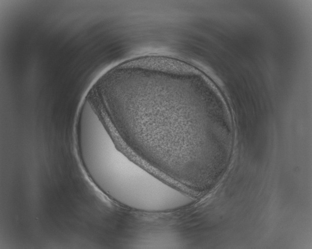 X0000067501056200604211720