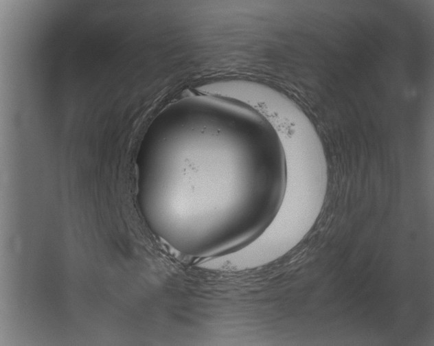 X0000067501057200604211719