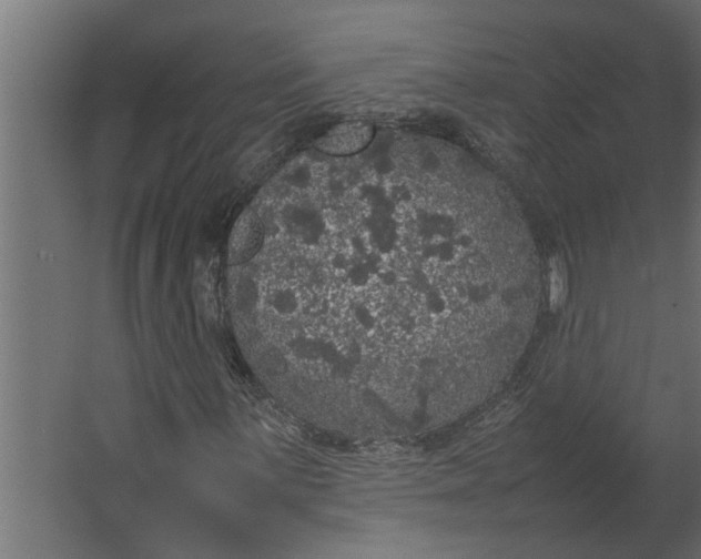 X0000067501059200604211719