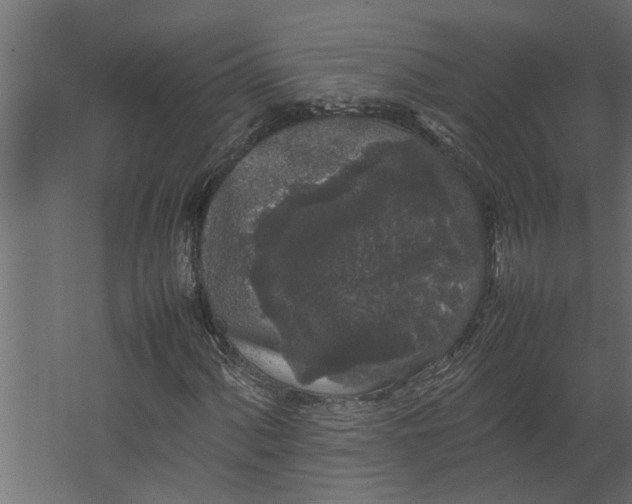 X0000067501060200604211719