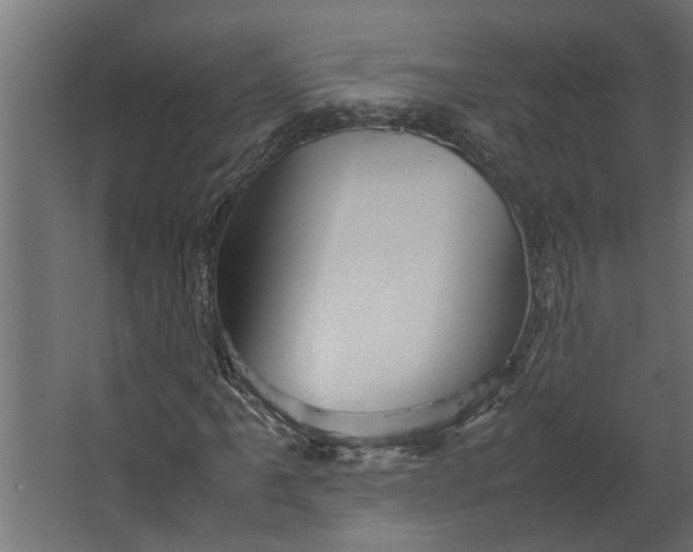 X0000067501061200604211719