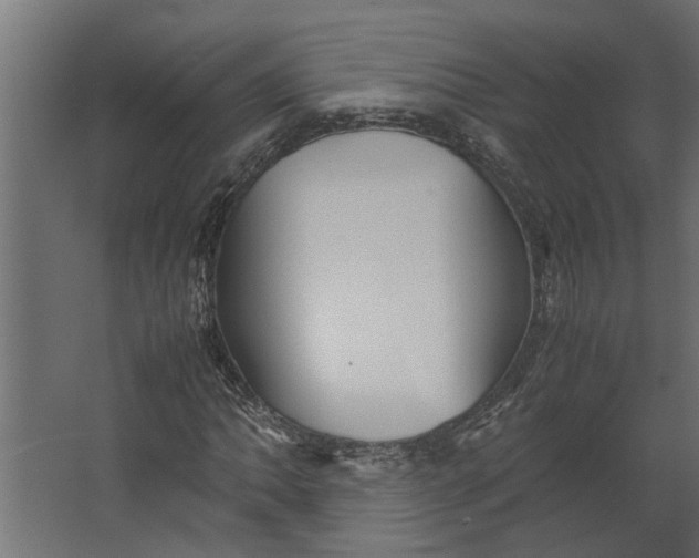 X0000067501062200604211719