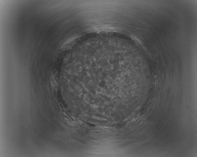 X0000067501063200604211719