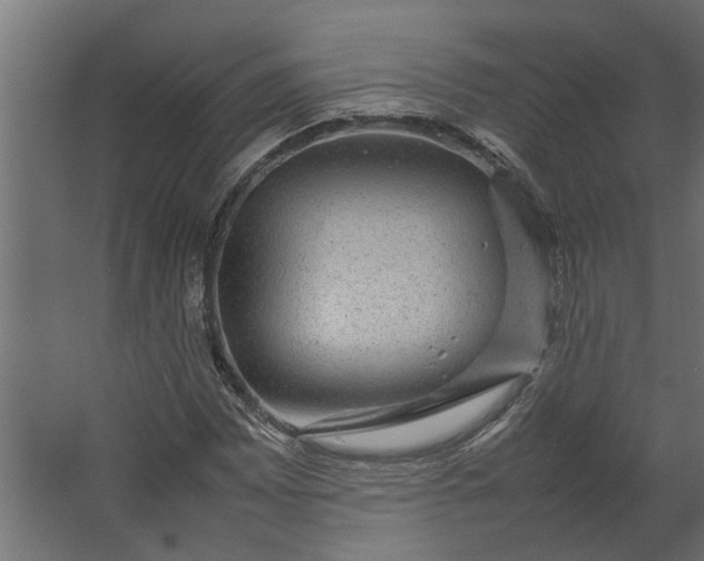 X0000067501065200604211719