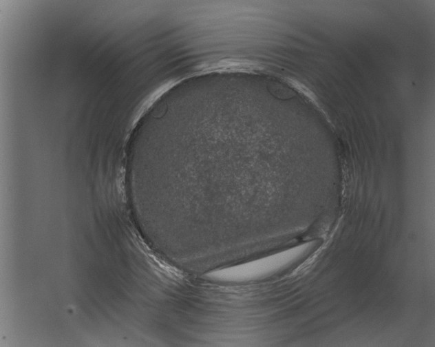 X0000067501066200604211719