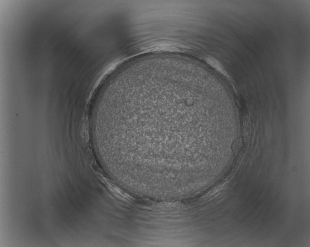 X0000067501067200604211719