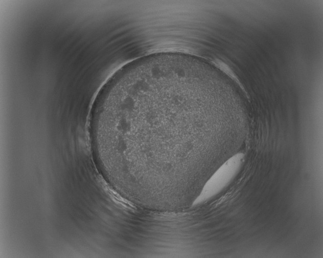 X0000067501068200604211719