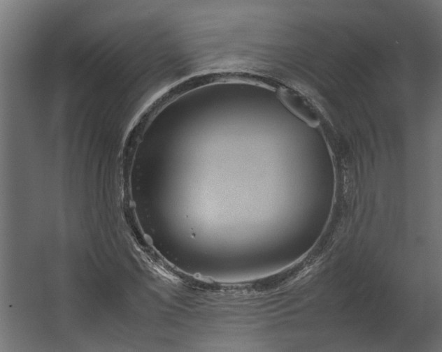 X0000067501069200604211719