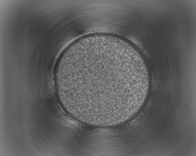 X0000067501070200604211719