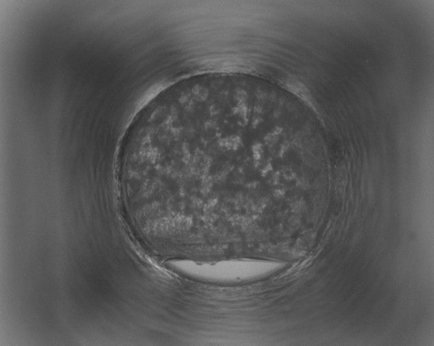 X0000067501071200604211719