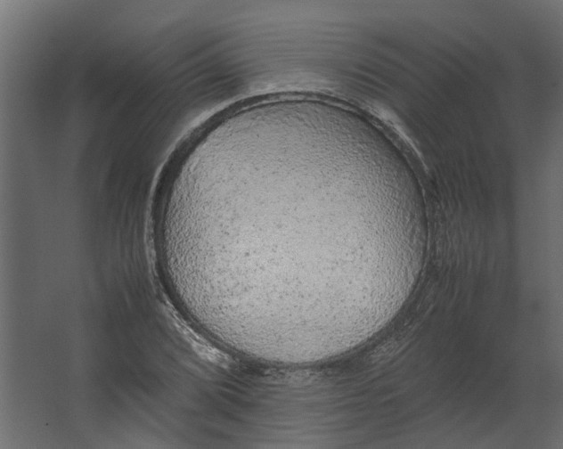 X0000067501072200604211719