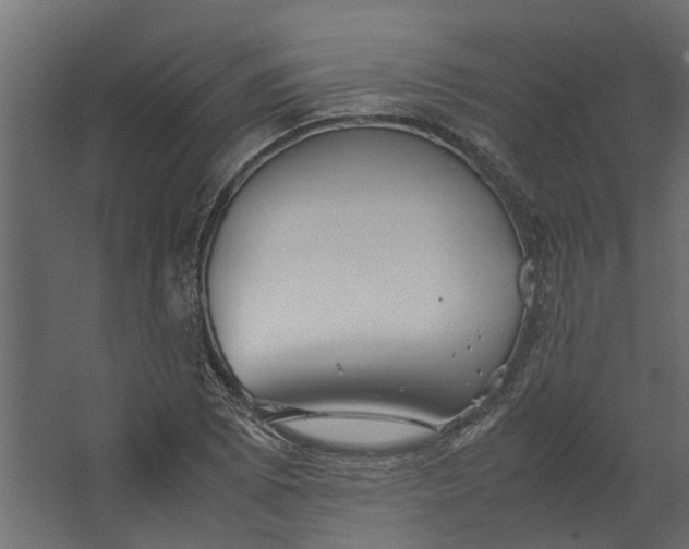 X0000067501073200604211719