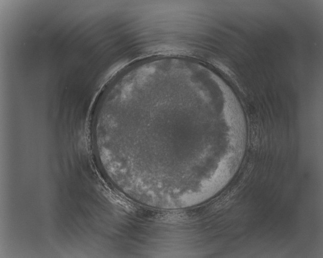 X0000067501074200604211719