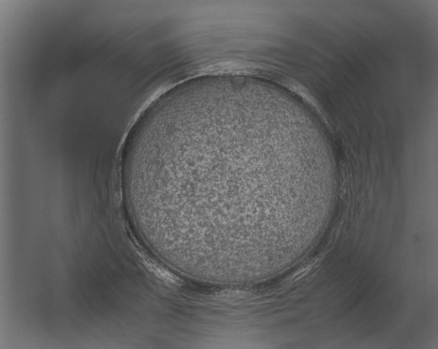 X0000067501075200604211719