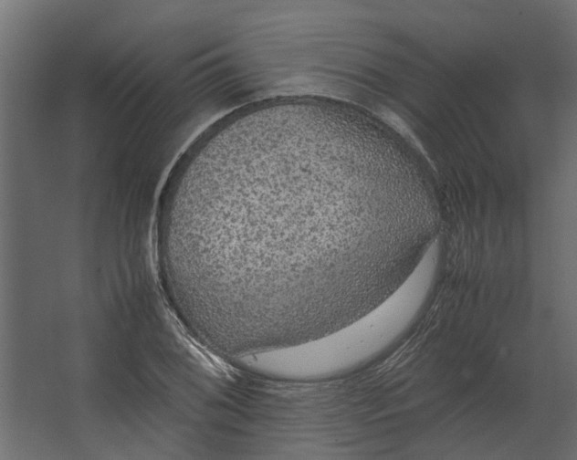 X0000067501076200604211719