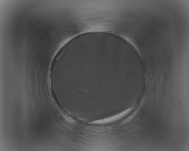 X0000067501077200604211719