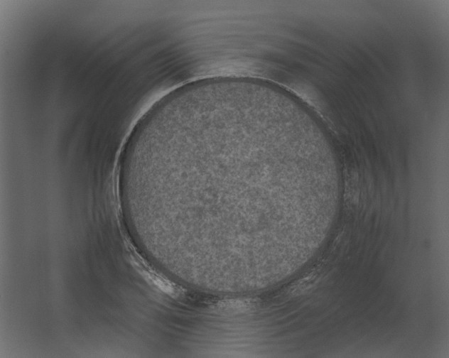 X0000067501078200604211719