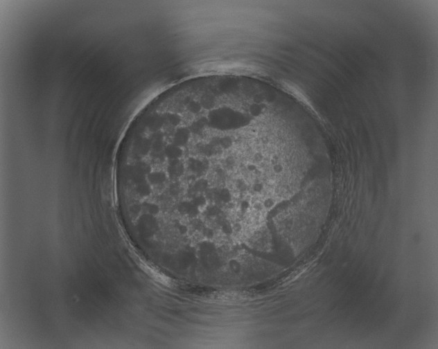 X0000067501079200604211719