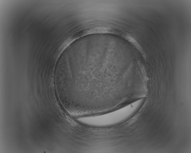 X0000067501081200604211719