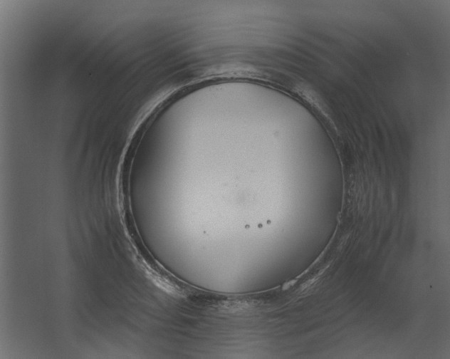 X0000067501082200604211719