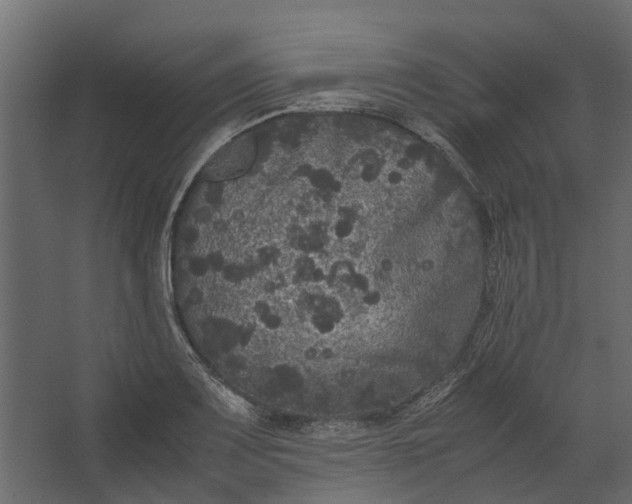 X0000067501083200604211719