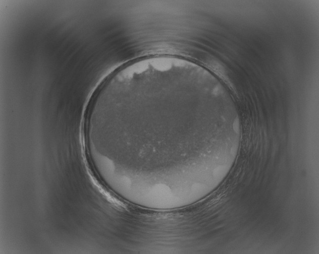 X0000067501084200604211719