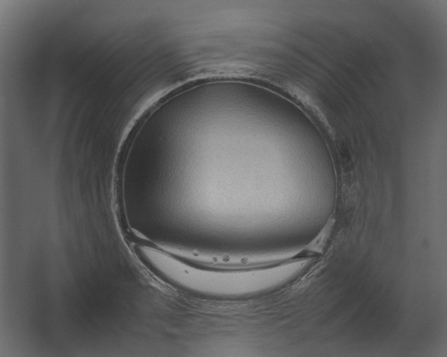 X0000067501085200604211719