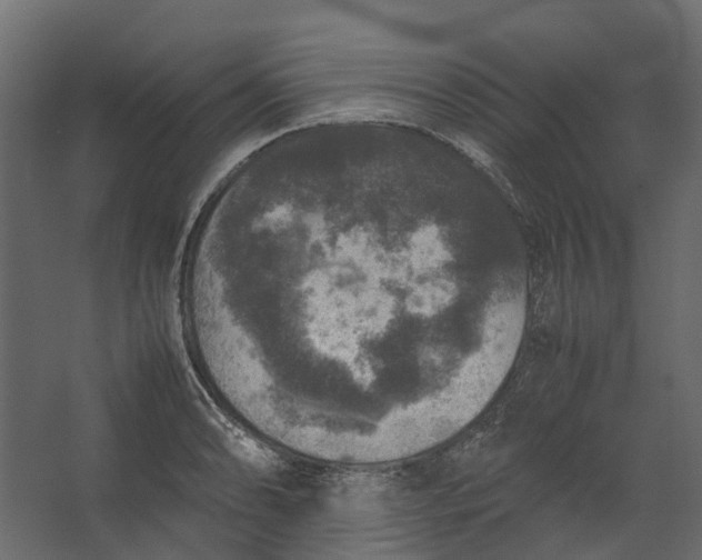 X0000067501086200604211719