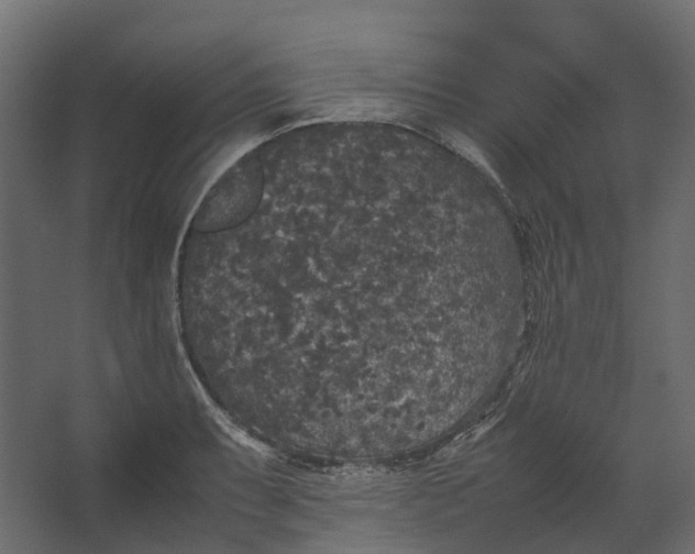 X0000067501087200604211719