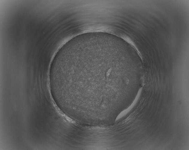 X0000067501088200604211719