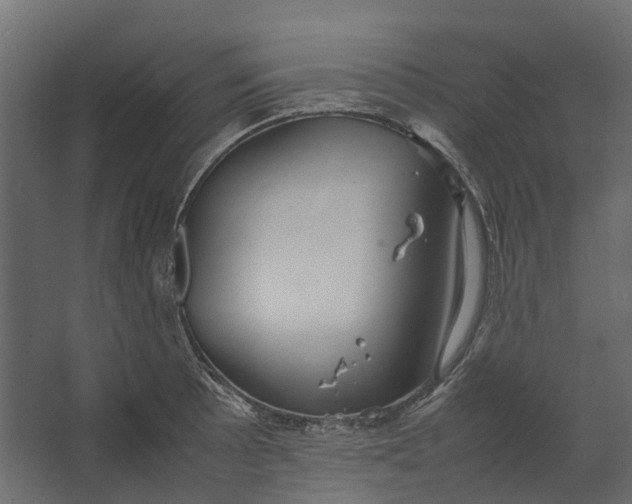 X0000067501089200604211719