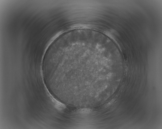 X0000067501090200604211718