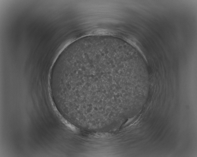 X0000067501091200604211718