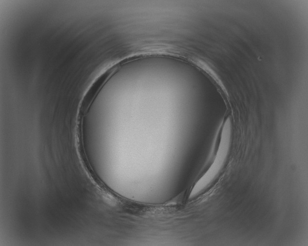 X0000067501093200604211718