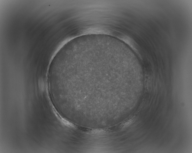 X0000067501094200604211718