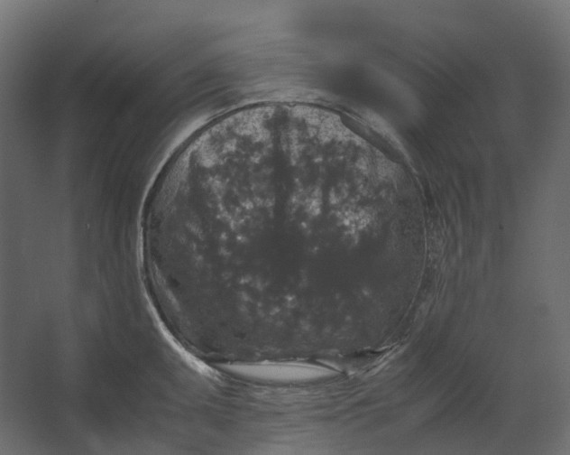 X0000067501095200604211718